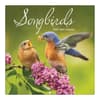 image Songbirds Photo 2025 Mini Wall Calendar