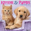 image Kittens and Puppies 2025 Wall Calendar Main Image