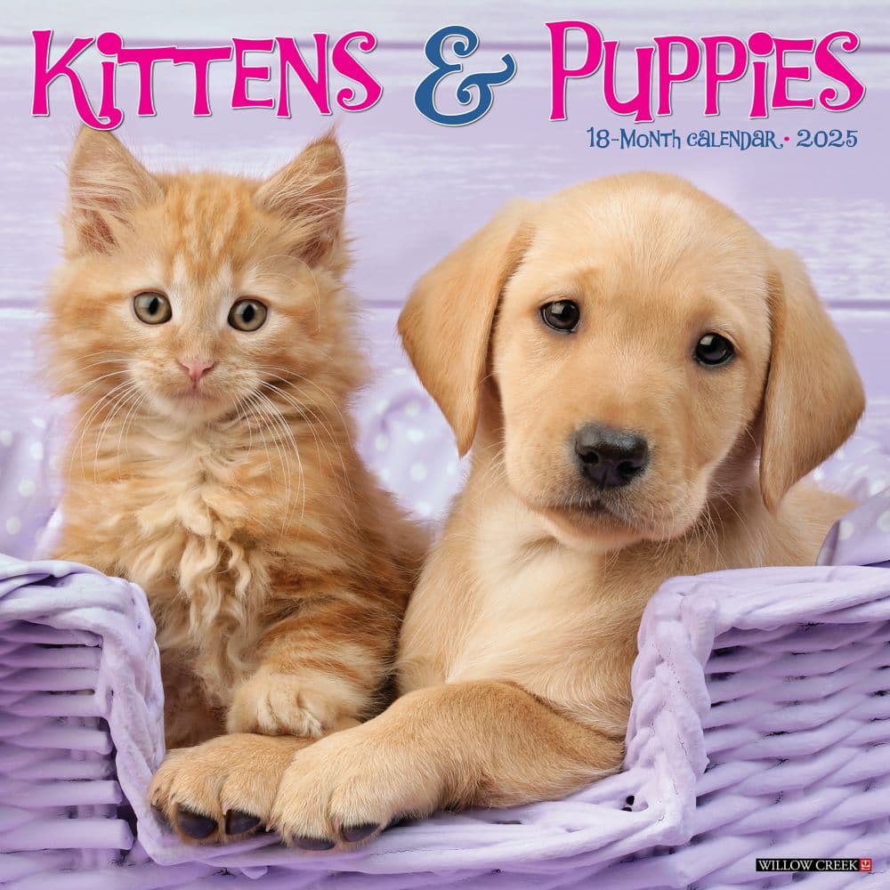 Kittens and Puppies 2025 Wall Calendar Main Image