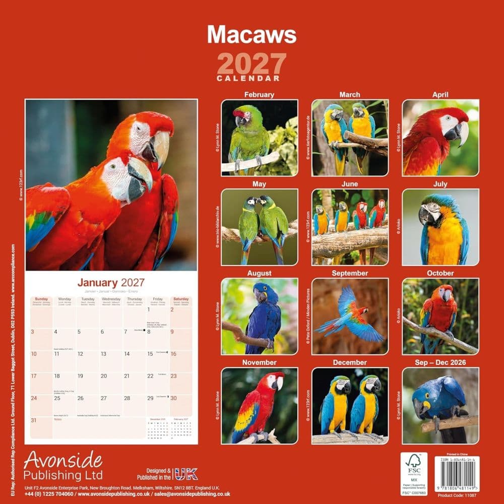 Macaws 2027 Wall Calendar First Alternate Image