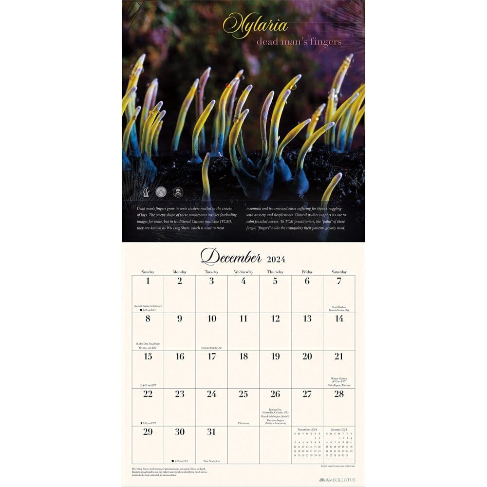 Miraculous Mushroom 2024 Wall Calendar Alt2