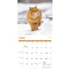 image Cats 2025 Wall Calendar Fourth Alternate Image width=&quot;1000&quot; height=&quot;1000&quot;