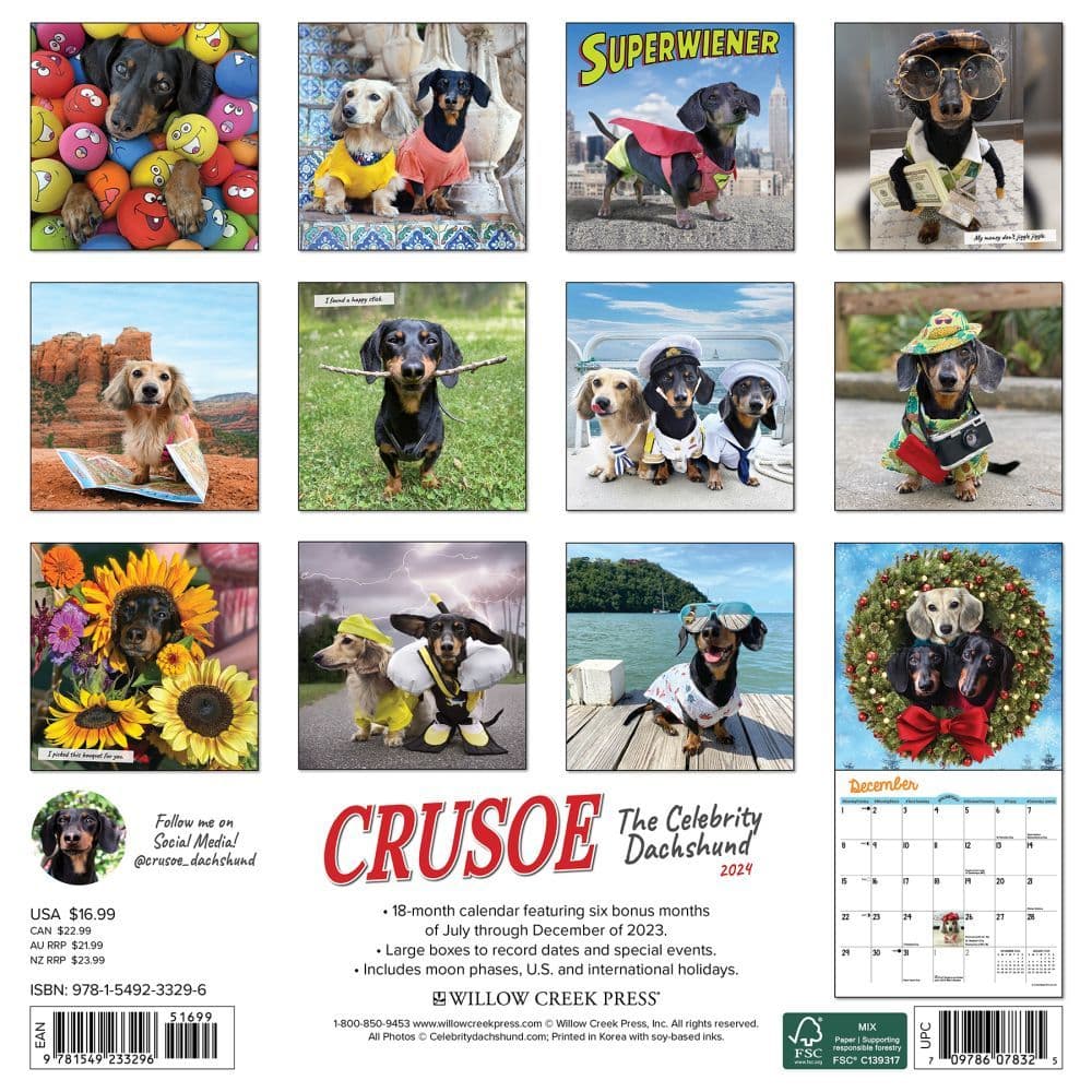 Crusoe the Celebrity Dachshund 2025 Wall Calendar