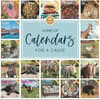image Italian Greyhounds 2024 Wall Calendar