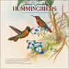 image Goulds Hummingbirds 2024 Mini Wall Calendar Main Product Image width=&quot;1000&quot; height=&quot;1000&quot;