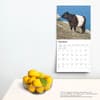 image Cows 2025 Wall Calendar