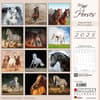 image Magic Horses 2025 Wall Calendar First Alternate Image width="1000" height="1000"