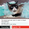 image Bad Cat 2025 Desk Calendar Third Alternate Image width=&quot;1000&quot; height=&quot;1000&quot;