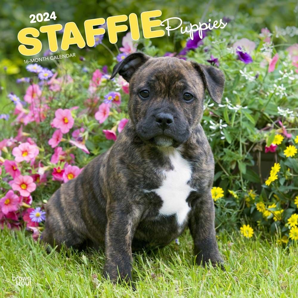 Staffordshire Bull Terrier Puppies 2025 Wall Calendar