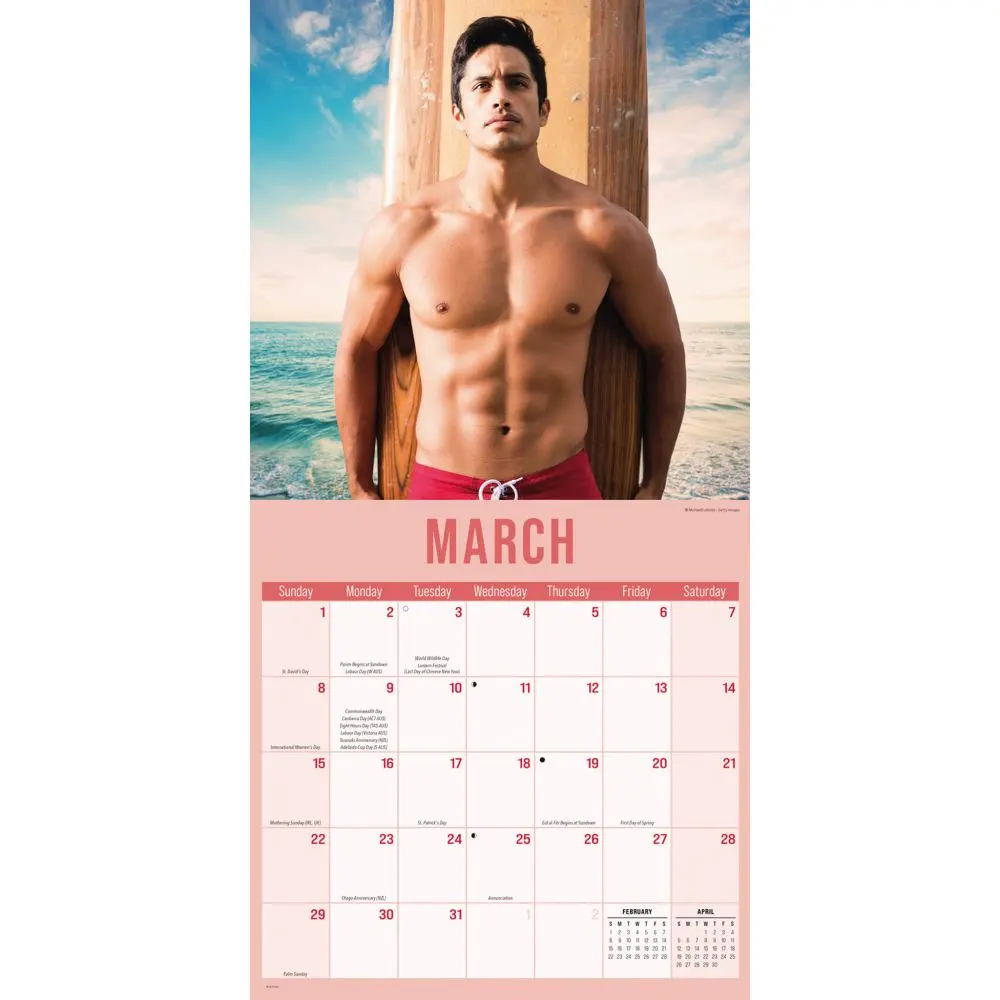Hunks in Trunks 2026 Wall Calendar