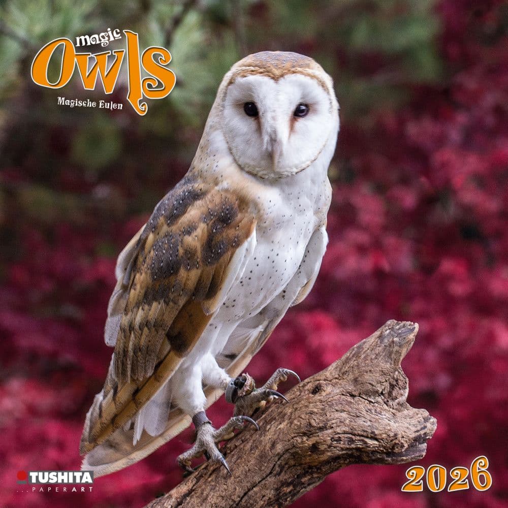 Magic Owls 2026 Wall Calendar Main Image