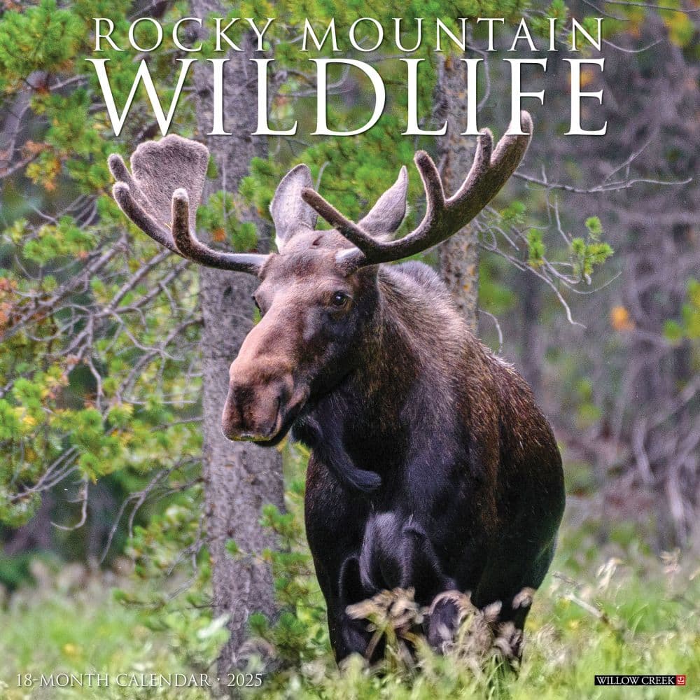 Rocky Mountain Wildlife 2025 Wall Calendar Main Image