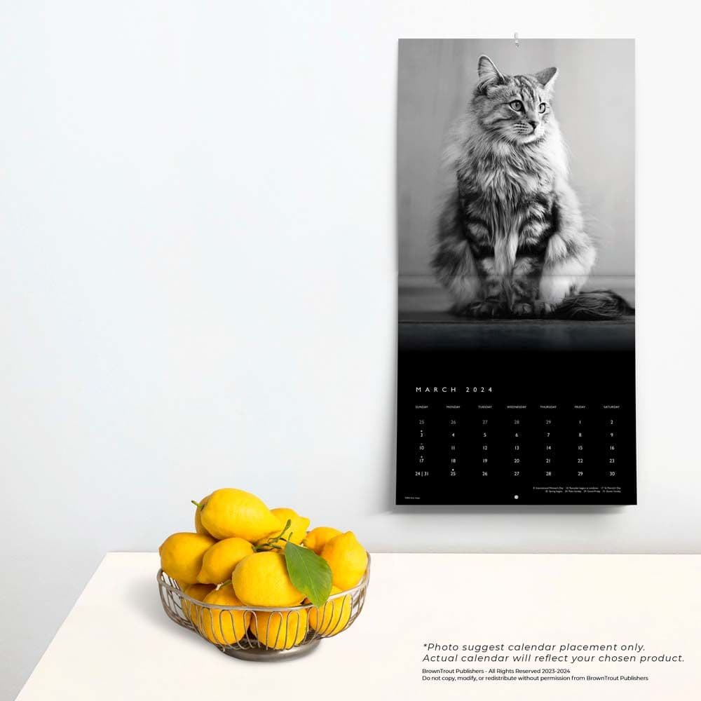 Cat Regal Portrait Series 2024 Wall Calendar Third Alternate Image width=&quot;1000&quot; height=&quot;1000&quot;