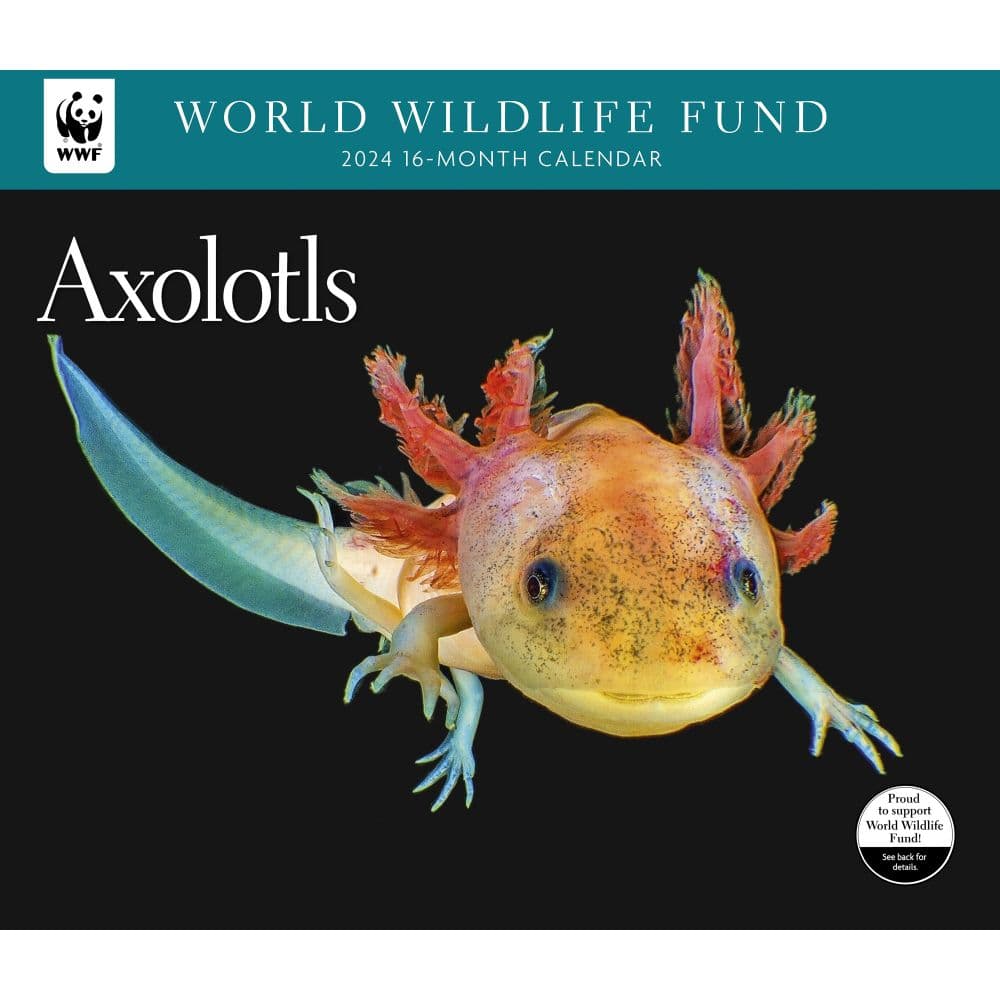 Axolotl WWF 2024 Wall Calendar