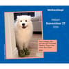 image We Rate Dogs 2026 Desk Calendar Second Alternate Image
