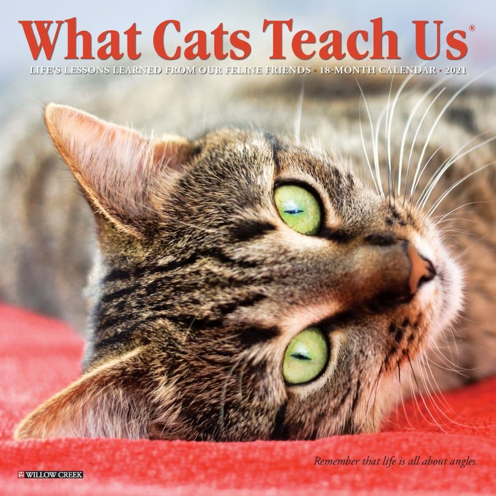 What Cats Teach Us Mini Wall Calendar