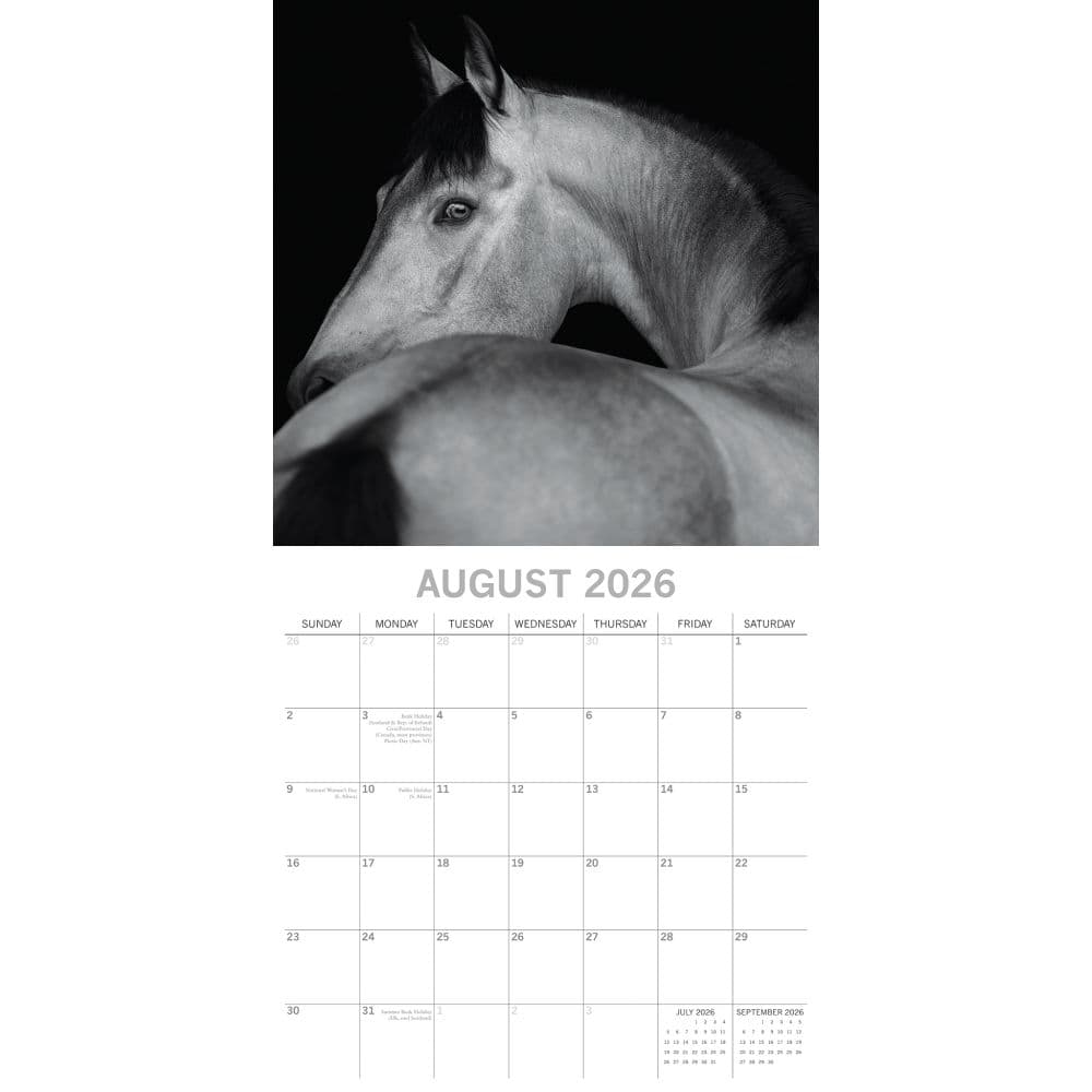 Horse Portraits 2026 Wall Calendar Third Alternate Image