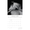image Horse Portraits 2026 Wall Calendar Third Alternate Image
