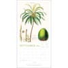 image New York Botanical Garden 2026 Wall Calendar Fourth Alternate Image