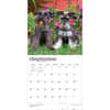 image Schnauzers 2027 Wall Calendar Third Alternate Image