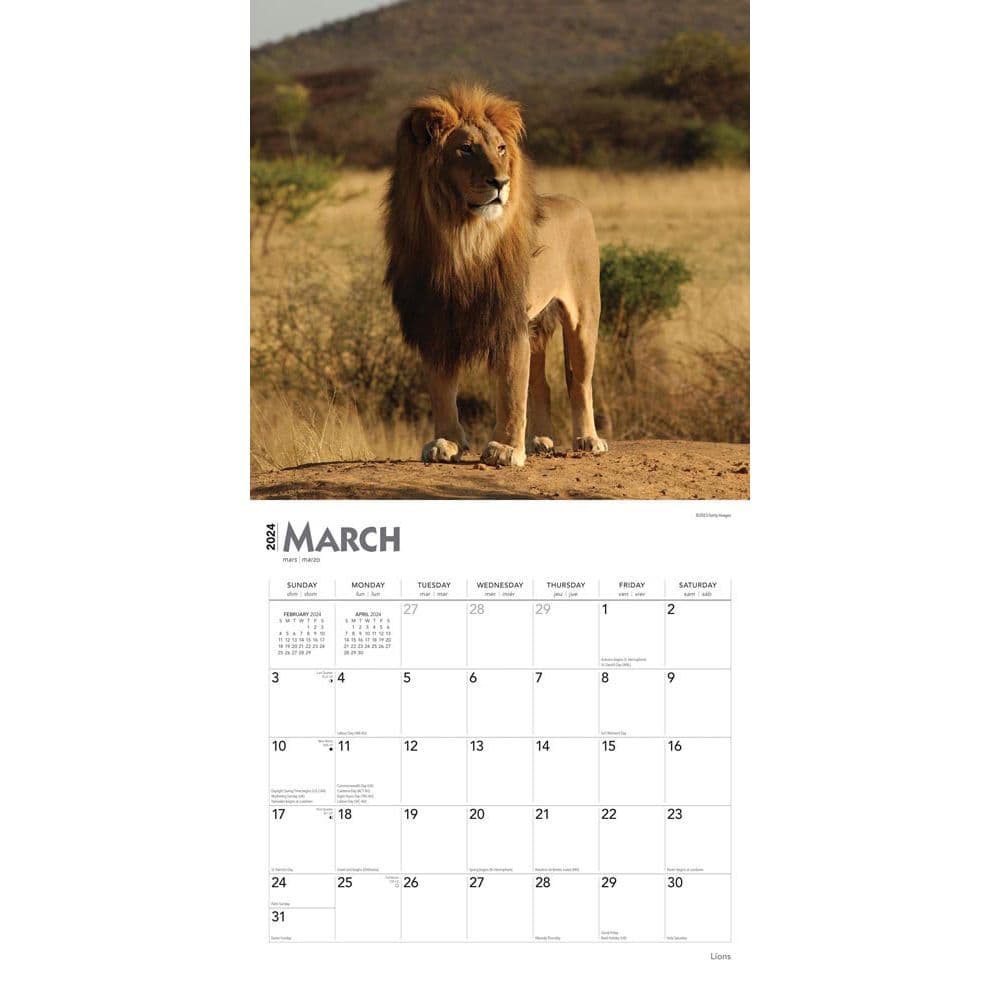 Lions 2024 Wall Calendar