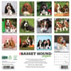 image Just Basset Hound Puppies 2025 Wall Calendar First Alternate Image width=&quot;1000&quot; height=&quot;1000&quot;