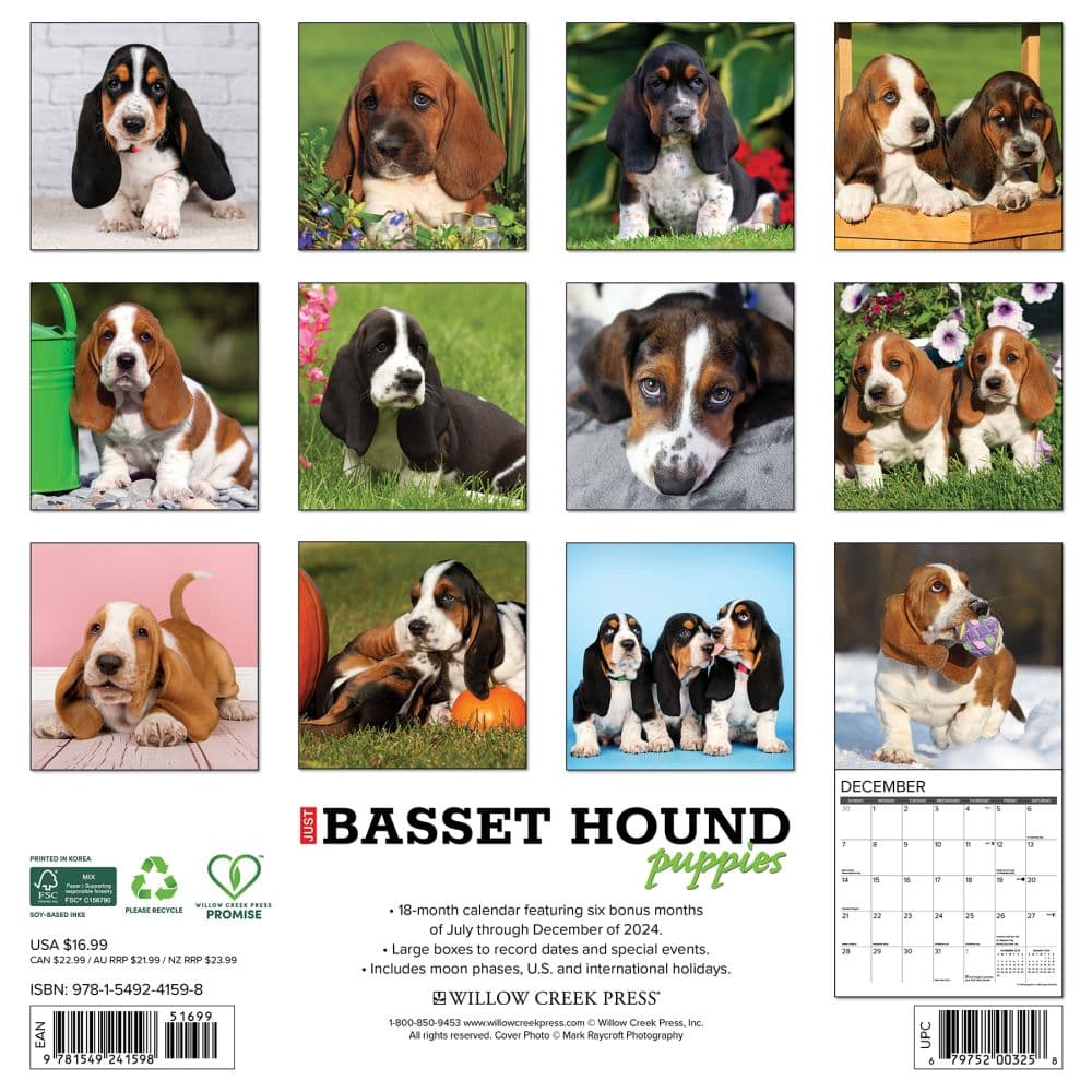 Just Basset Hound Puppies 2025 Wall Calendar First Alternate Image width=&quot;1000&quot; height=&quot;1000&quot;