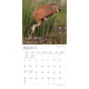 image Wisconsin Wild and Scenic 2024 Wall Calendar Second Alternate  Image width=&quot;1000&quot; height=&quot;1000&quot;