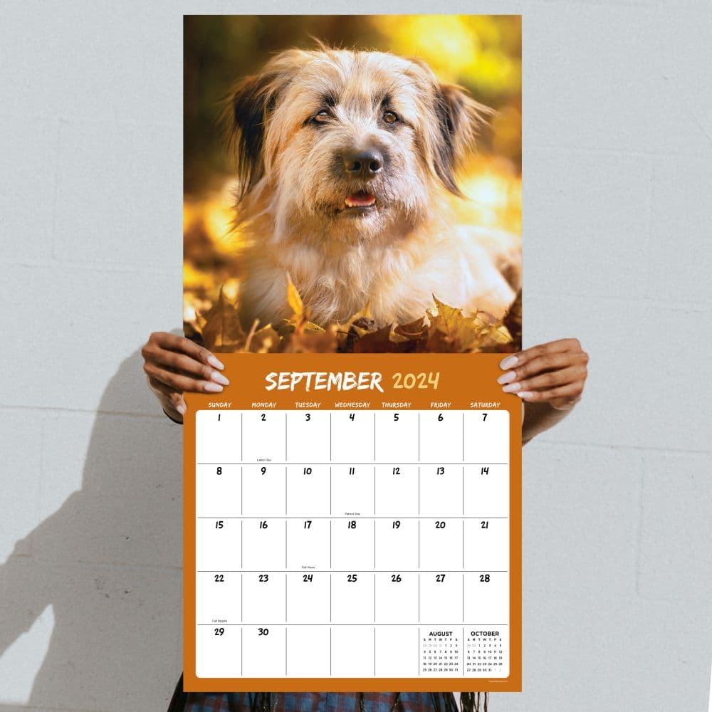 Mutts 2024 Wall Calendar