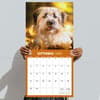 image Mutts 2024 Wall Calendar Fourth Alternate Image width="1000" height="1000"