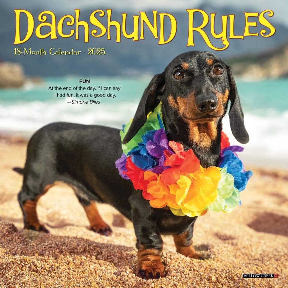 Dachshund Rules 2025 Mini Wall Calendar Main Image