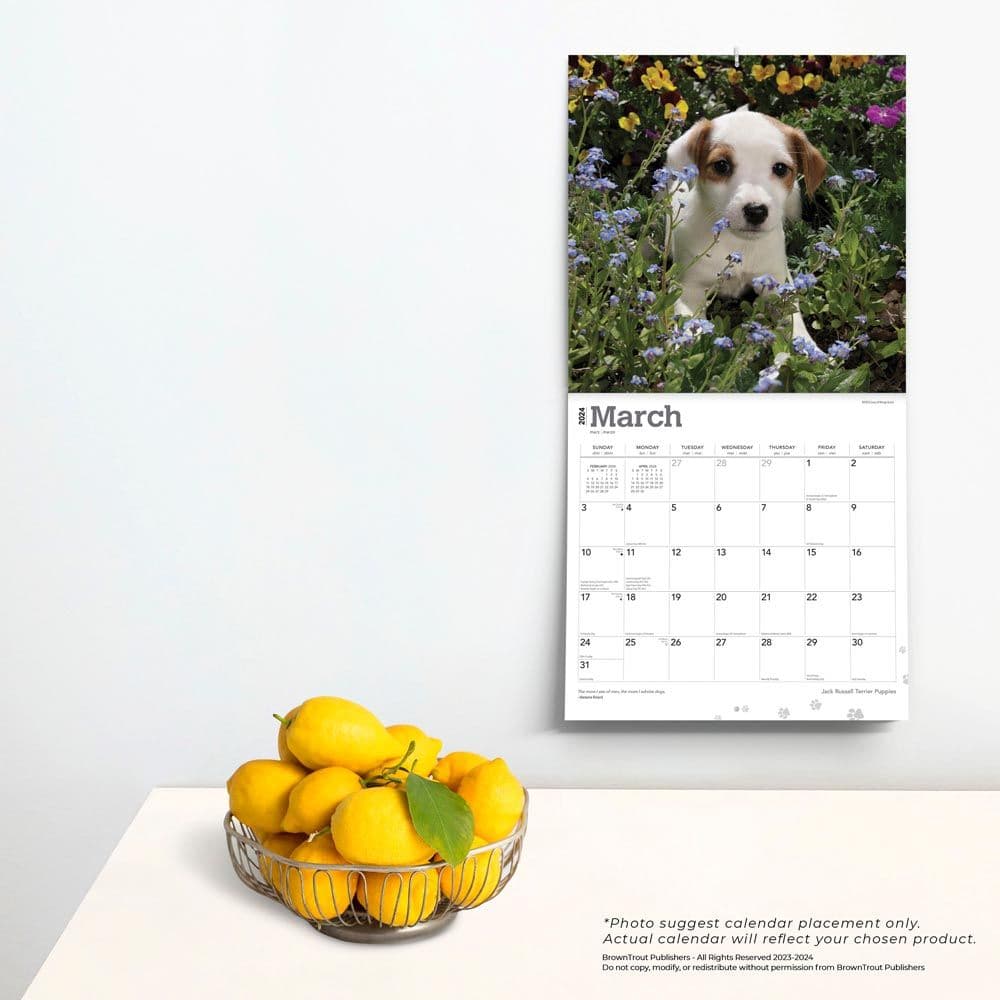 Jack Russell Terrier Puppies 2024 Wall Calendar Third Alternate Image width=&quot;1000&quot; height=&quot;1000&quot;