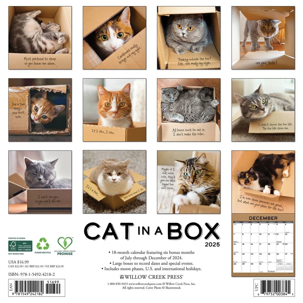 Cat In A Box 2025 Wall Calendar First Alternate Image width=&quot;1000&quot; height=&quot;1000&quot;