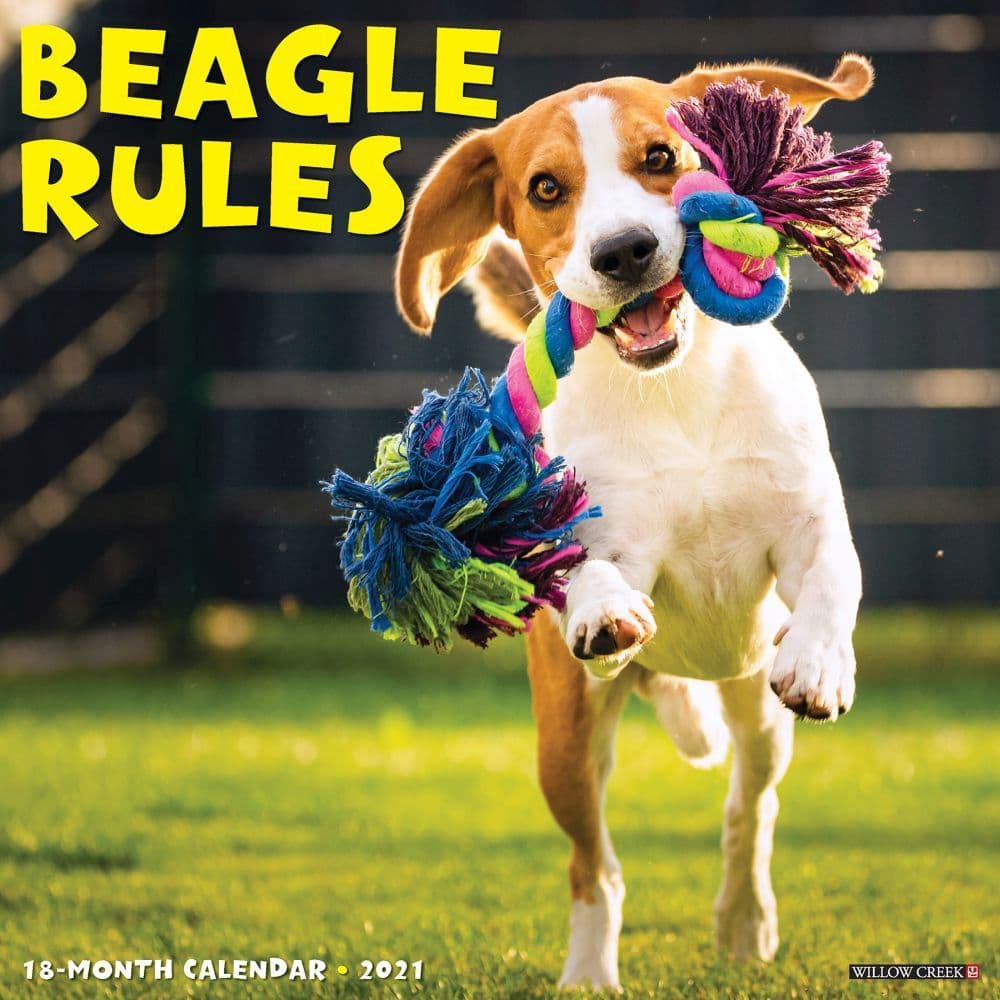 Beagle Rules Wall Calendar