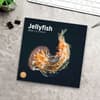 image Jellyfish 2024 Wall Calendar Fifth Alternate Image width=&quot;1000&quot; height=&quot;1000&quot;