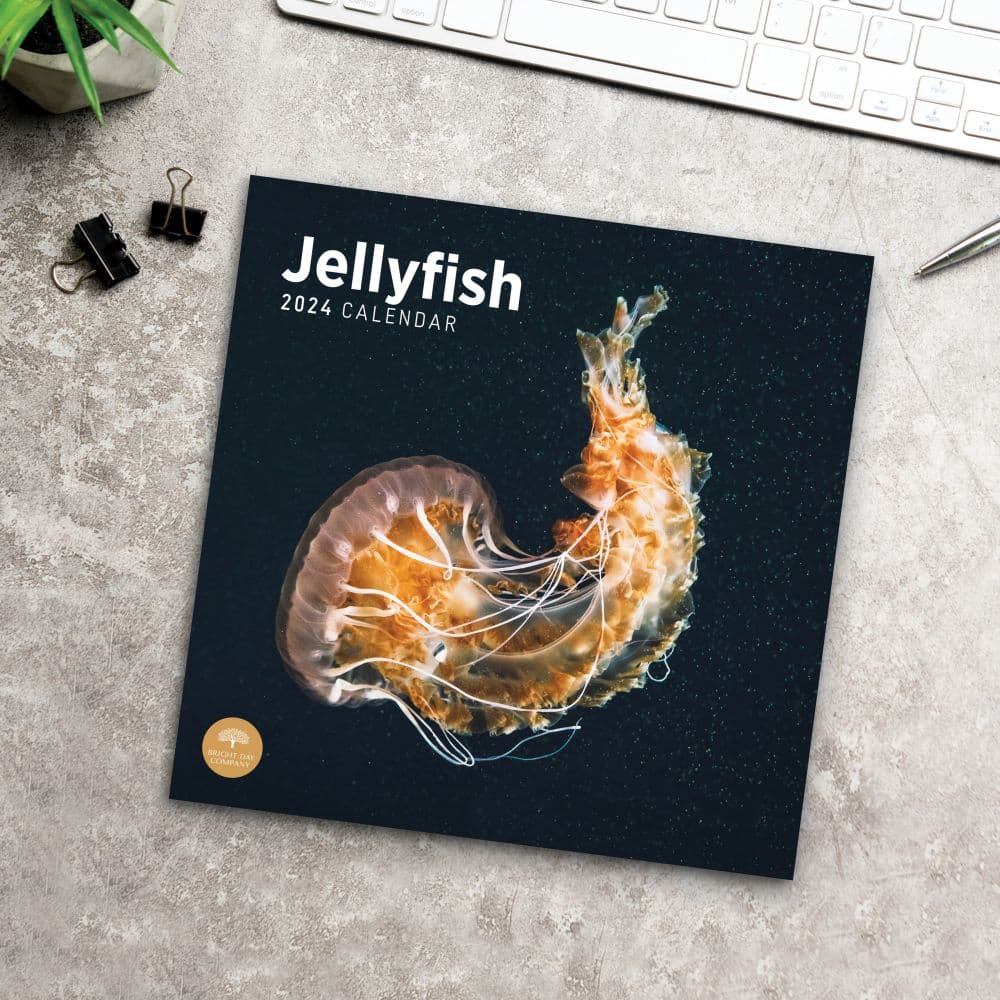 Jellyfish 2024 Wall Calendar