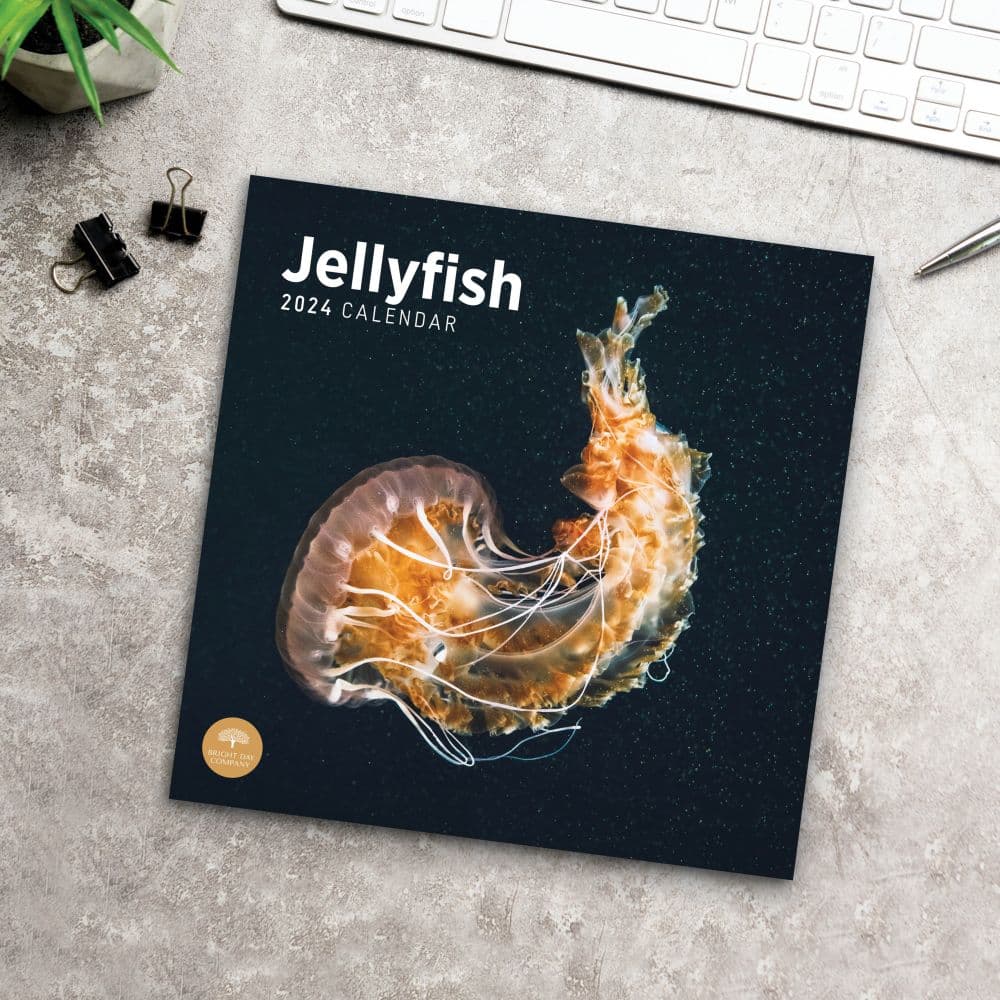 Jellyfish 2024 Wall Calendar Fifth Alternate Image width=&quot;1000&quot; height=&quot;1000&quot;