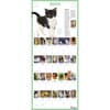 image Kittens 365 Days 2025 Wall Calendar Alt2