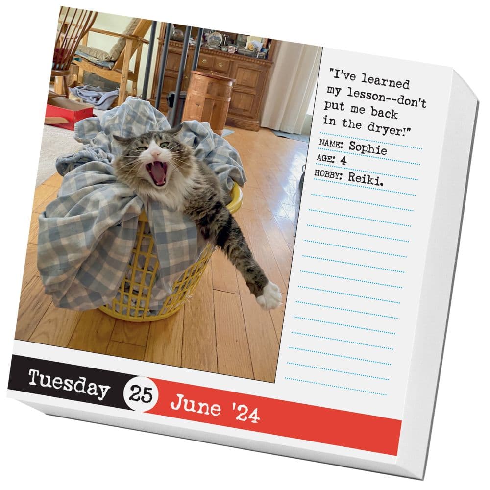 Bad Cat 2024 Desk Calendar