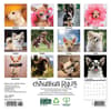 image Chihuahua Rules 2026 Mini Wall Calendar First Alternate Image