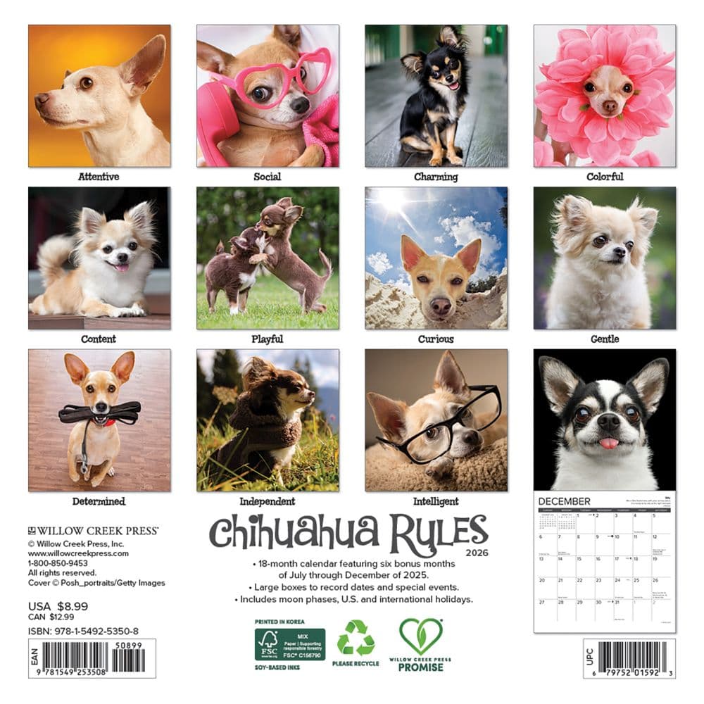 Chihuahua Rules 2026 Mini Wall Calendar First Alternate Image