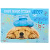 image Photo Dog with Compress Get Well Card First Alternate Image width=&quot;1000&quot; height=&quot;1000&quot;