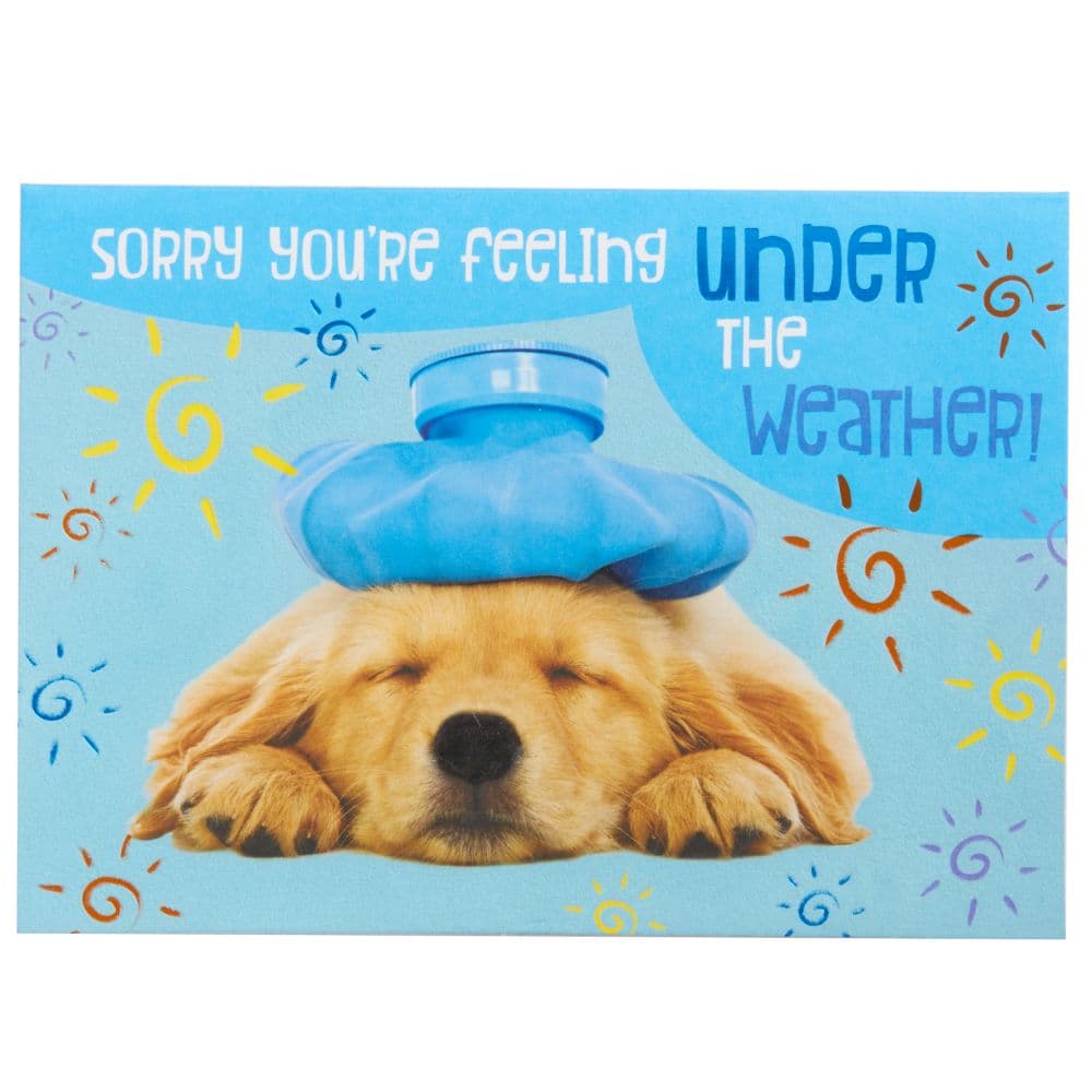 Photo Dog with Compress Get Well Card First Alternate Image width=&quot;1000&quot; height=&quot;1000&quot;