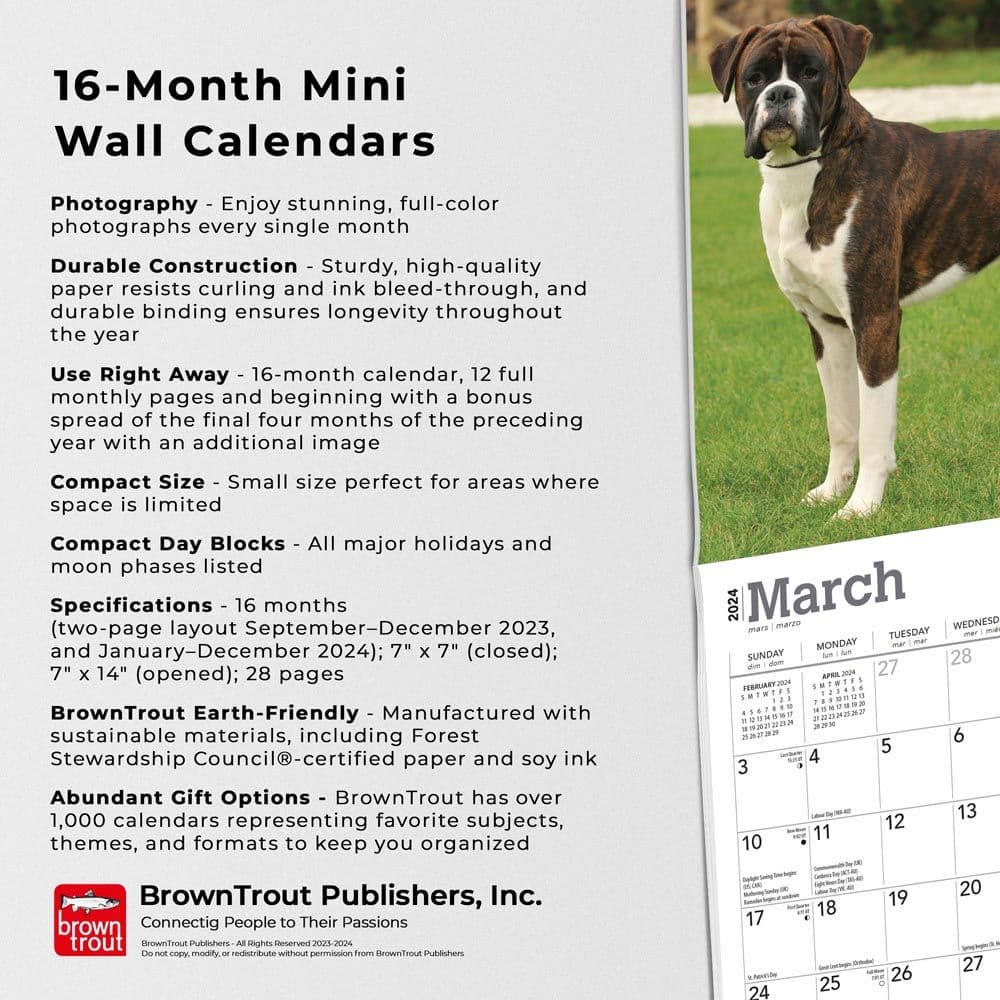 Boxers International Edition 2024 Mini Wall Calendar Fourth Alternate Image width=&quot;1000&quot; height=&quot;1000&quot;