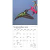 image Hummingbirds Plato 2025 Mini Wall Calendar