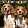 image Just Beagles 2025 Wall Calendar Main Image