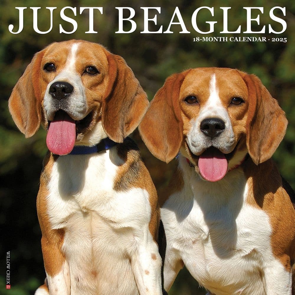 Just Beagles 2025 Wall Calendar Main Image