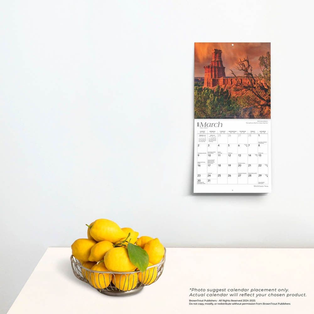 Texas 2025 Mini Wall Calendar Fourth Alternate Image