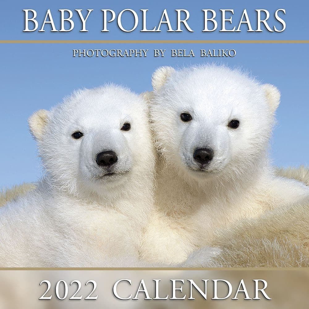 21 Best Wildlife Calendars 2022