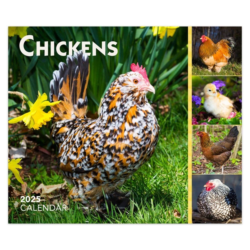 Chickens 2025 Desk Calendar